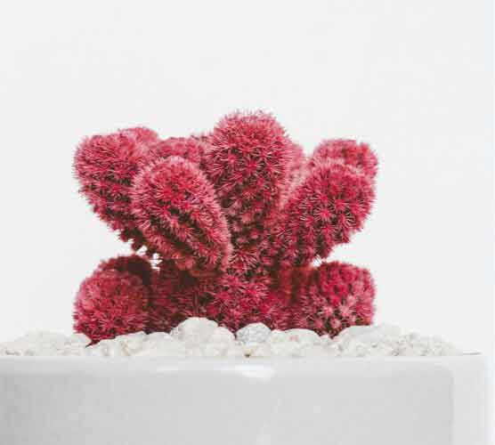 渠道价格直供的网站防ddos攻击