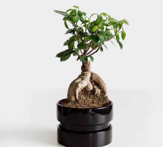 ddos在线攻击工具