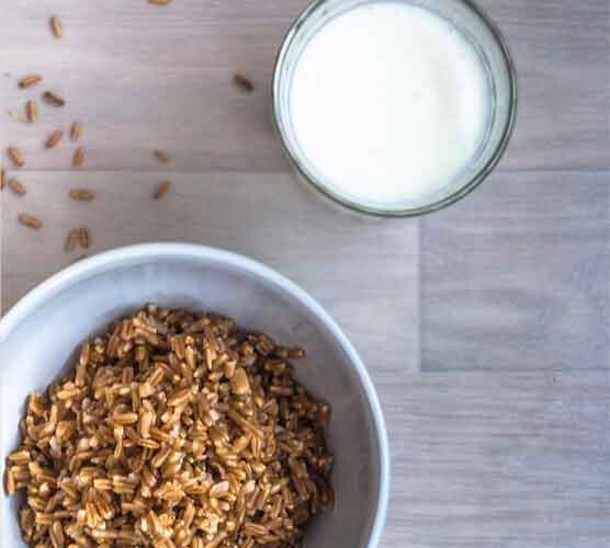 ip攻击器网页版